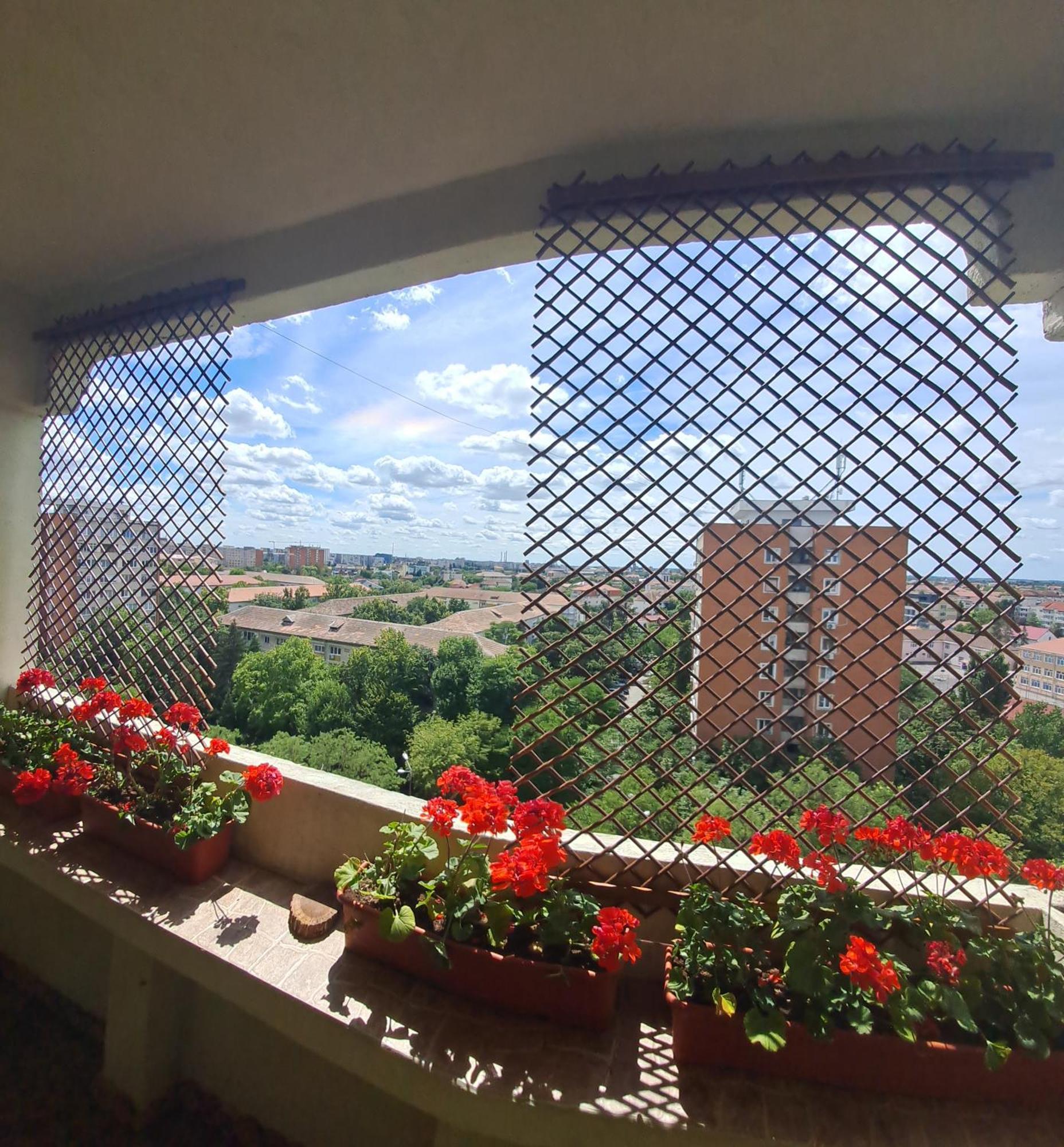 Apartmán Happy Station Temešvár Pokoj fotografie